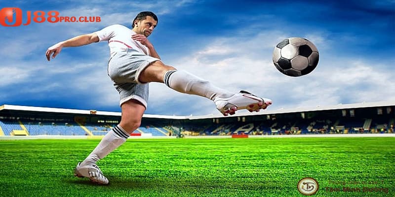 Cá cược bóng đá được nhiều bet thủ quan tâm